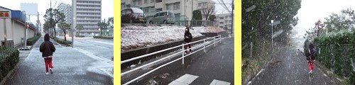 c0070439_22102691.jpg
