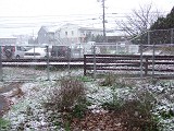 c0070439_22155340.jpg