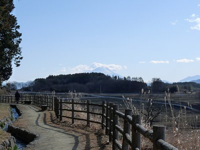 八反部堰からの光景_f0019247_0194534.jpg