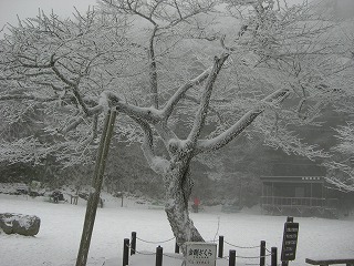 初登り・雪山②☆_b0148050_21265095.jpg