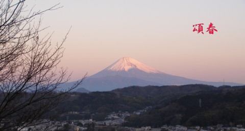 f0043750_113837.jpg