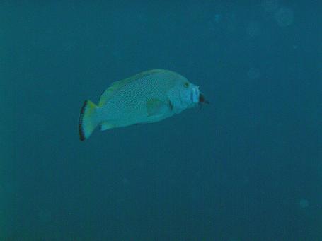 c0180460_125304.jpg