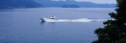 d0083265_2174426.jpg