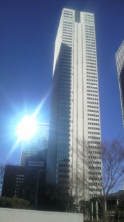 正月の風景(?)_e0033570_10113773.jpg