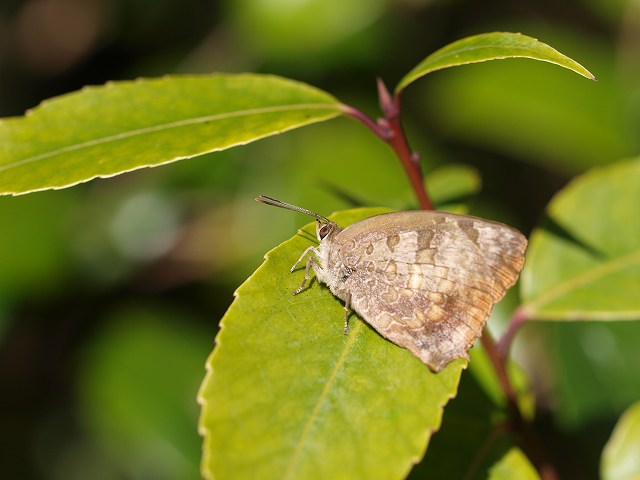 b0135573_189211.jpg