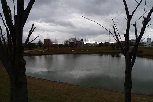 c0177576_1725541.jpg