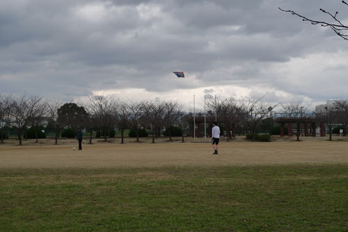 c0177576_174261.jpg