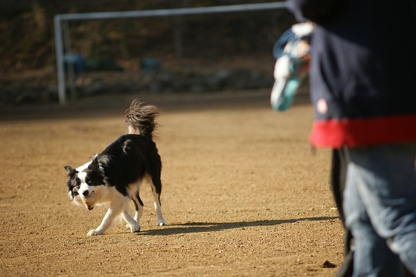 ニライG in 年末 07_c0109780_1114288.jpg