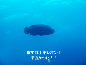 明けました!! ナイスダイブ!!_f0144385_1456420.jpg