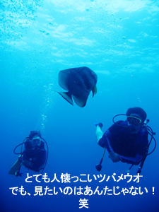 明けました!! ナイスダイブ!!_f0144385_15265779.jpg