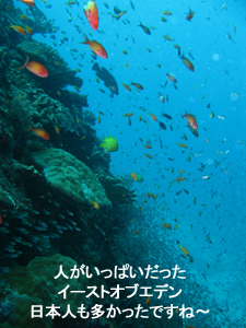 明けました!! ナイスダイブ!!_f0144385_15273125.jpg