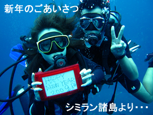 あけましておめでとうダイブ☆_f0144385_3143150.jpg