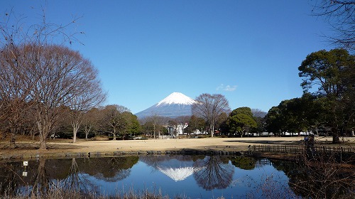 富士山のある風景～中央公園の逆さ富士_c0160488_16595027.jpg