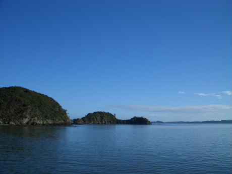 f0046489_75768.jpg