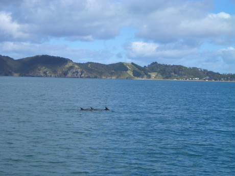f0046489_82026.jpg