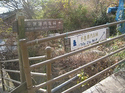 c0078592_1453651.gif
