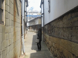 c0078592_148563.gif