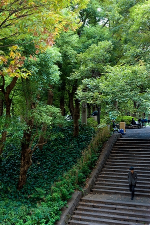 b0155903_16403178.jpg