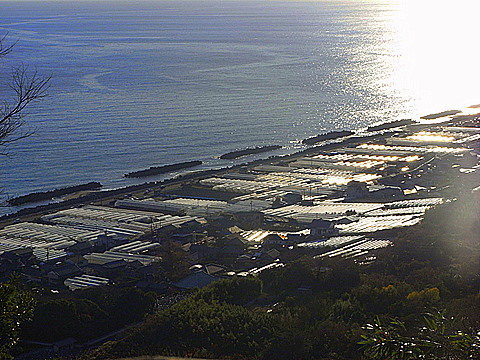 c0156703_2083588.jpg