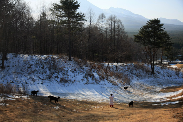 December 30, 2008　雪国紀行／浅間牧場_f0137508_0351649.jpg