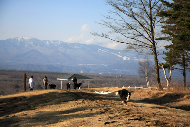 December 30, 2008　雪国紀行／浅間牧場_f0137508_035181.jpg