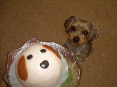 c0143711_20222531.gif