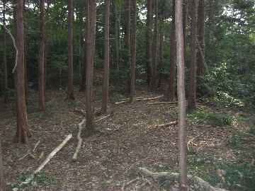c0051112_1515036.jpg