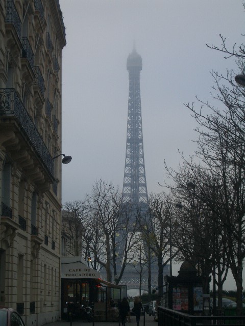 d0070113_13152.jpg