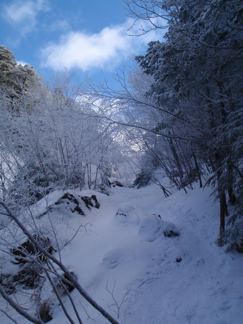 恒例正月登山１　南八ヶ岳－赤獄神社初詣_c0177814_1416364.jpg