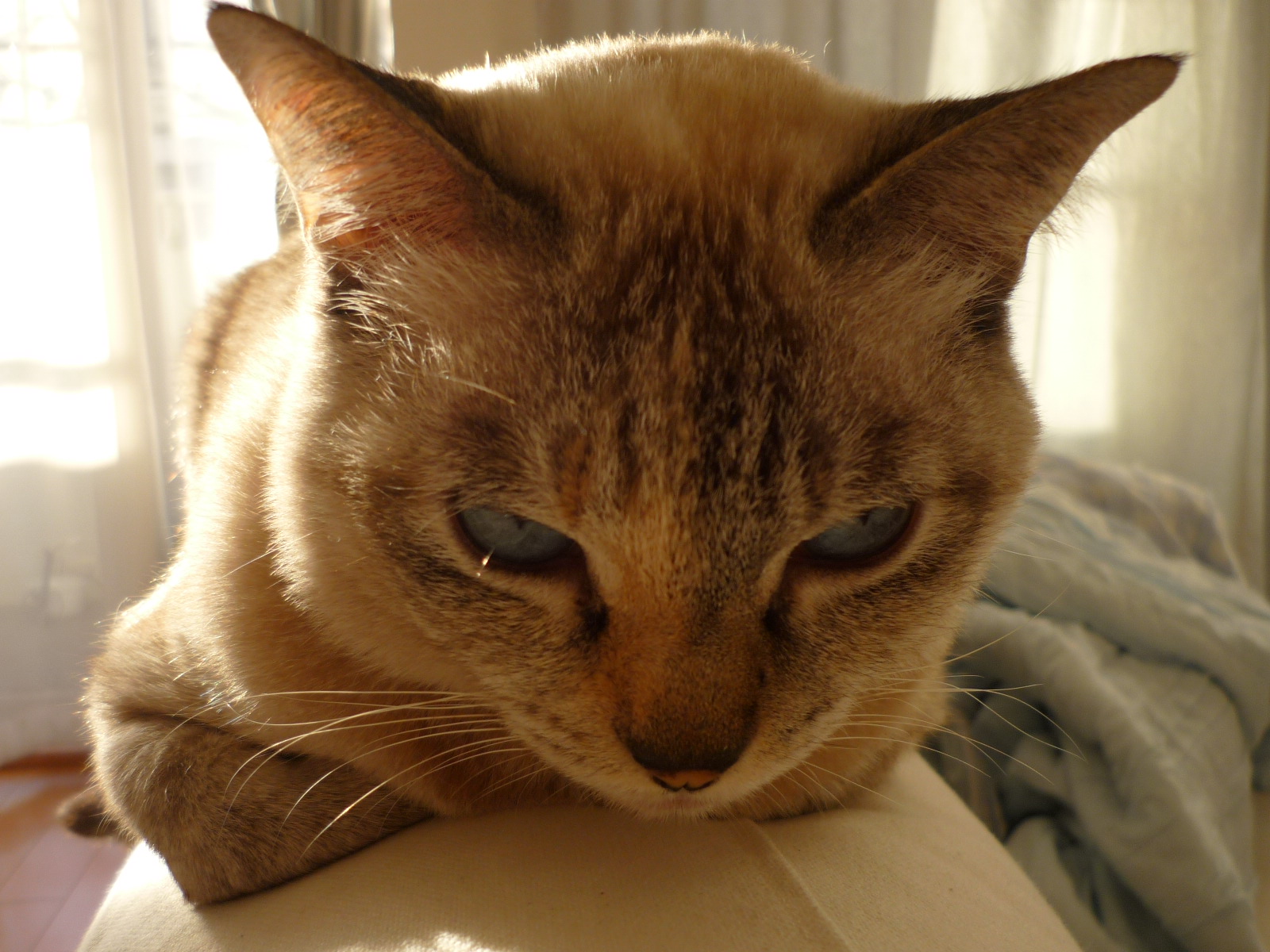 c0193017_203329.jpg