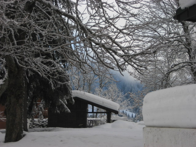 b0126623_2424941.jpg