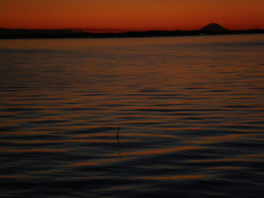 c0182231_175763.jpg