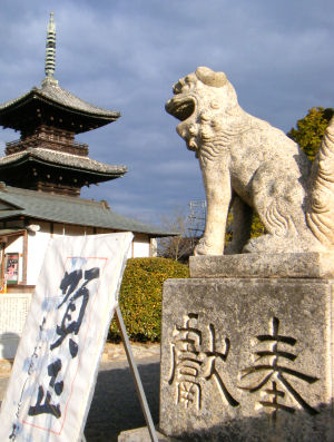 c0069036_1441468.jpg