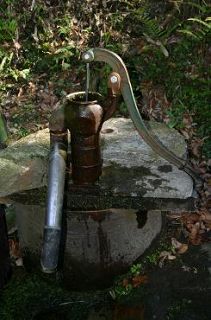 f0124737_7542327.jpg