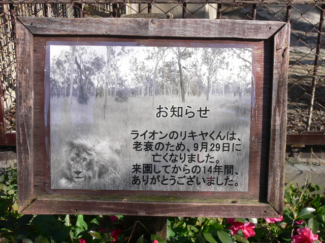 f0070542_15393171.jpg