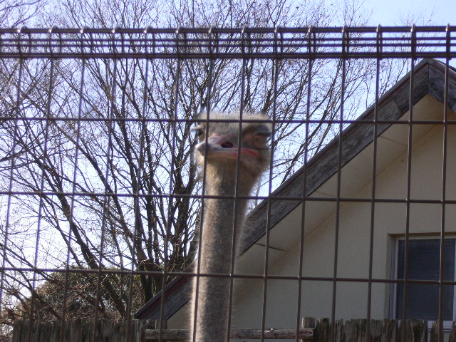 f0070542_15402052.jpg