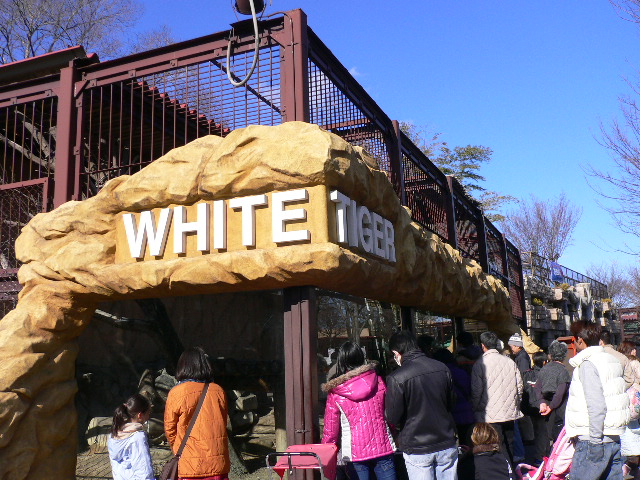 f0070542_15411100.jpg