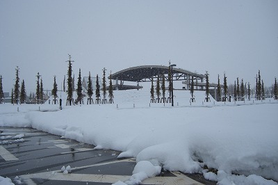 八色の森公園の新年_a0084753_819689.jpg