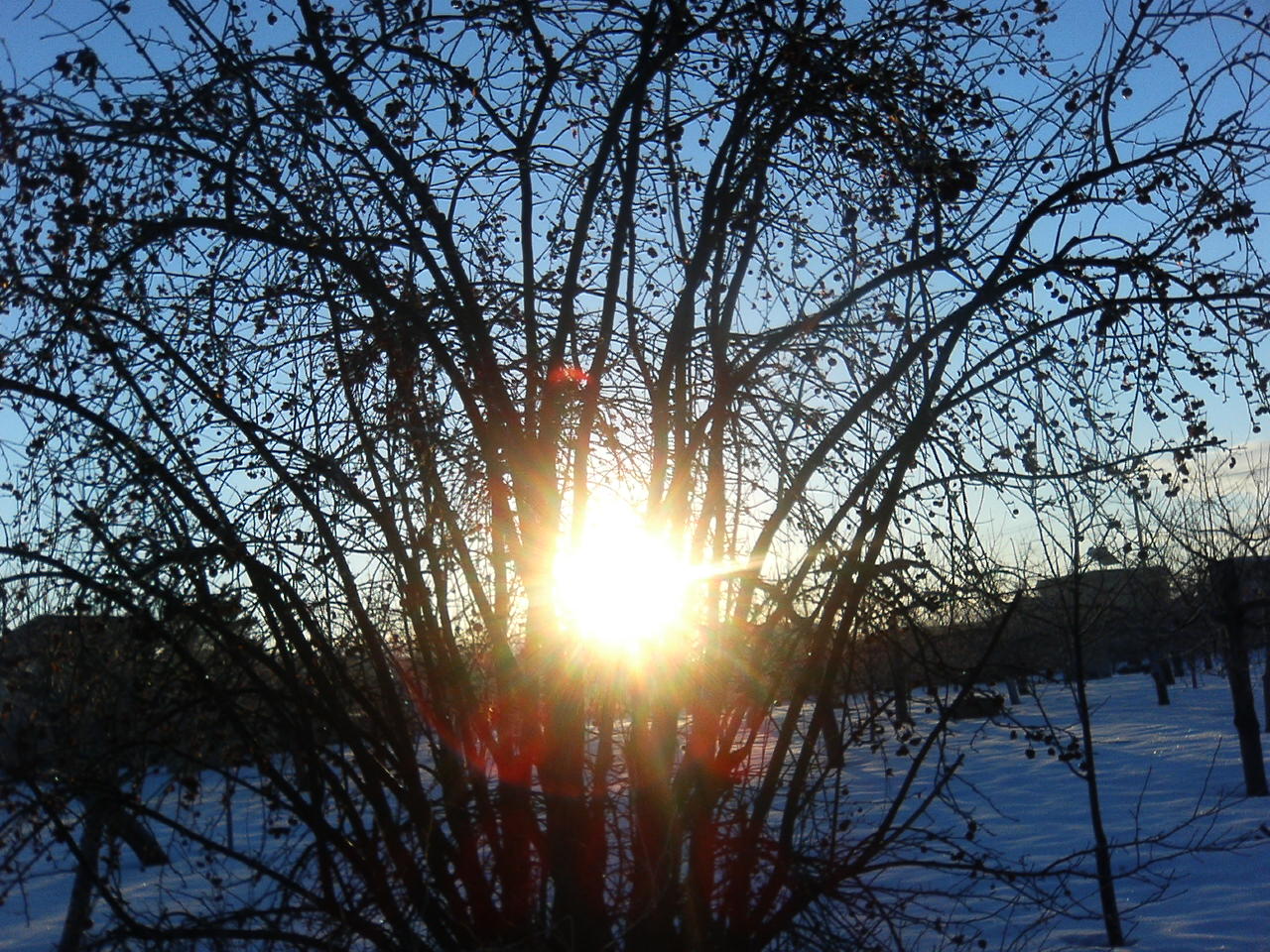 f0104457_74523100.jpg