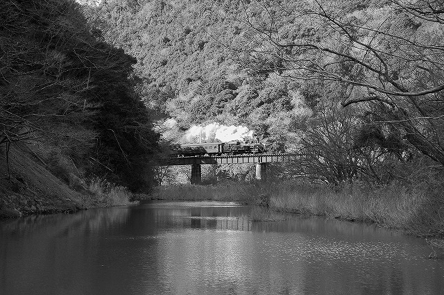 初撮り～大井川鉄道09.01.02～_c0173762_21383944.jpg