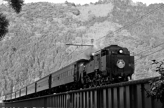 初撮り~大井川鉄道09.01.02~_c0173762_2159064.jpg