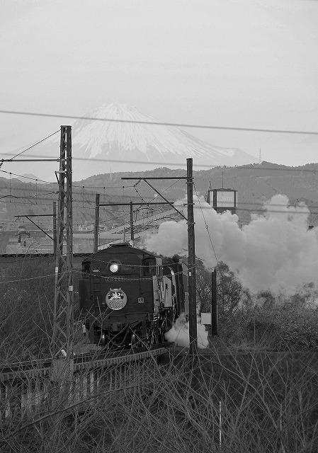 初撮り~大井川鉄道09.01.02~_c0173762_221313.jpg