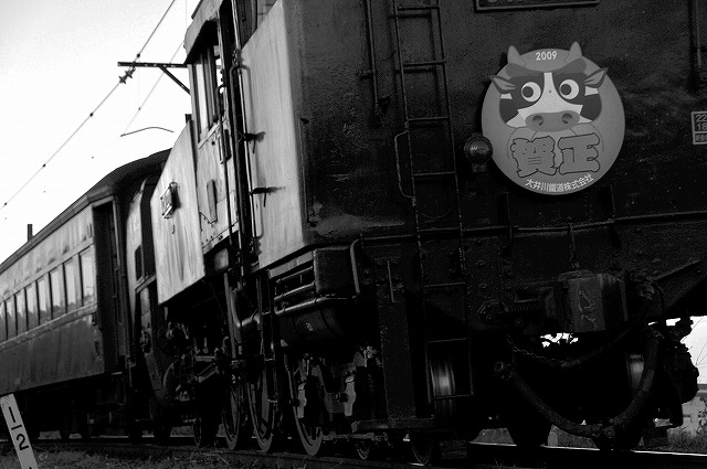 初撮り~大井川鉄道09.01.02~_c0173762_2223760.jpg
