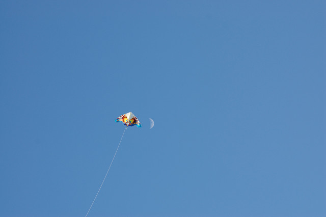 c0050163_23441069.jpg