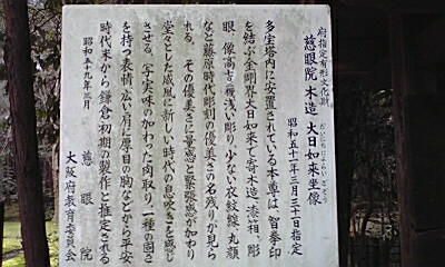 2009年初詣_e0136066_2281385.jpg