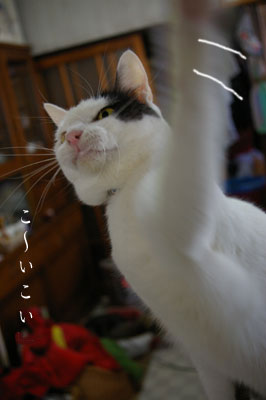 福の招き方_a0064067_0465518.jpg