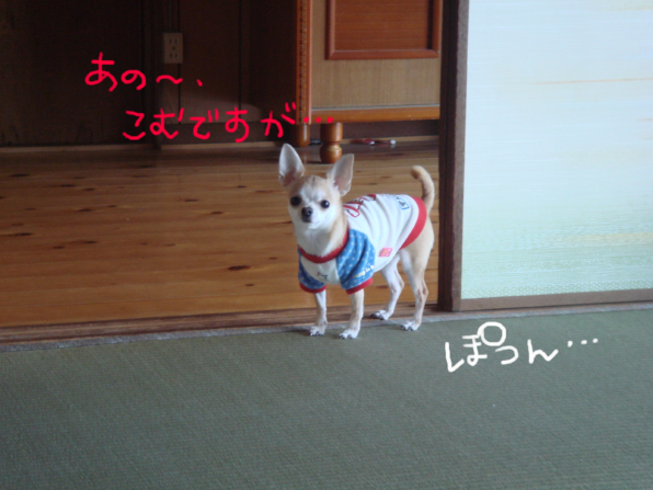 e0126974_021859.jpg