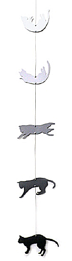 f0089079_1594299.gif