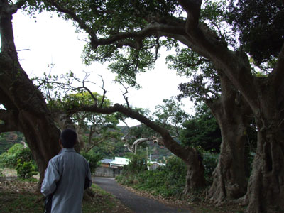 目的地は「須子茂集落」！_e0028387_22411249.jpg