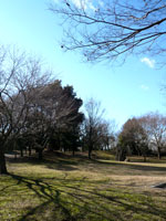 c0178792_18534743.jpg